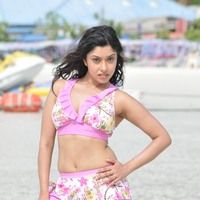 Payal Gosh Hot in Bikini Pictures | Picture 65339